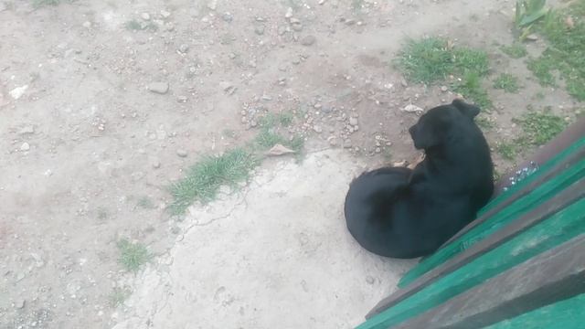 VID_20250323_180319