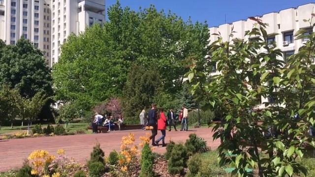 Institute of journalism, Kyiv. смотреть онлайн