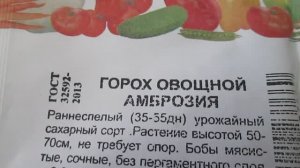Горох  Амброзия  Семена