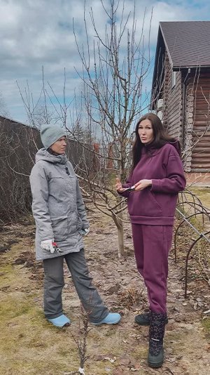 Весенняя обрезка яблони Белый налив.