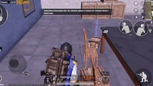 золота сайга