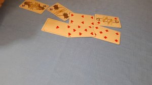 НАЙДЕТСЯ ЛИ КОШКА КИСЮЛЯ - КОТЯ . ЖИВА ЛИ ОНА?