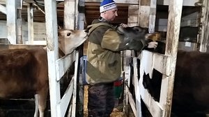 ЛЕША ПОМЫЛ ВСЮ СКОТИНУ🤔