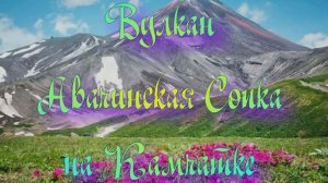 Вулкан Авачинская Сопка на Камчатке