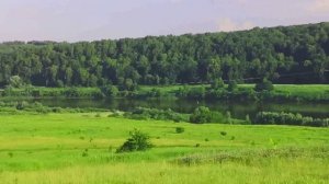 Участок ИЖС 356 на берегу Оки ул.Набережная д.Воронино Калужская обл.