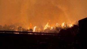 Эвакуация из-за лесных пожаров объявлена сразу в двух городах Японии