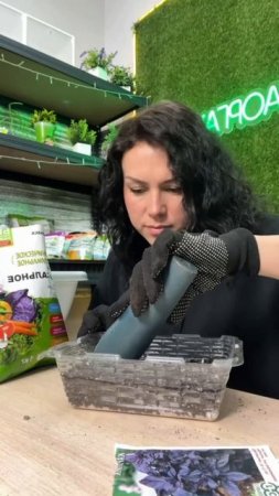 Пора выращивать ароматную зелень! 🌿