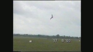 День авиации 2003_clip001