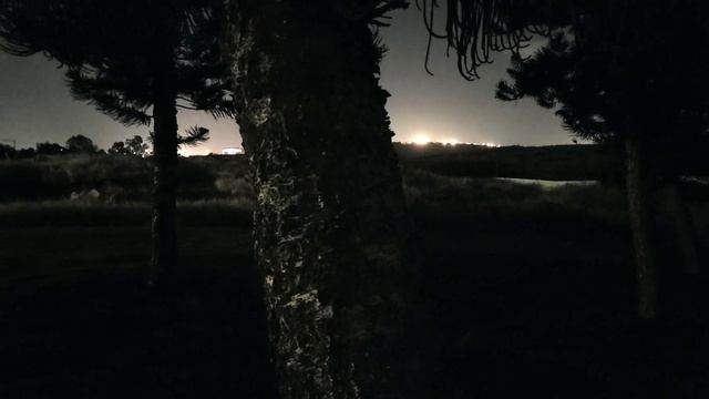 Crickets. Park on the edge. Сверчки. смотреть онлайн