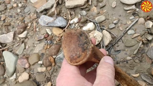 Кости ☺🌞👍