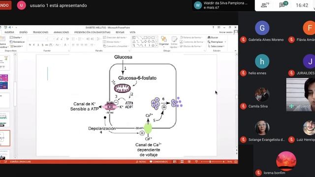 Fisiopatologia II - 07/09/2020 смотреть онлайн