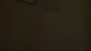 Пассажирский лифт (г. Домодедово), V=1 м-с, г-п 630 кг (54)