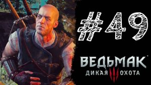 У КОТА НЕТ ВЫБОРА! Прохождение #49 - The Witcher 3: Wild Hunt.