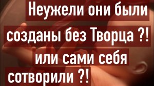 Эволюция или сотворение?