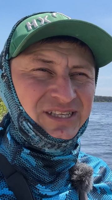 #shorts смотреть онлайн