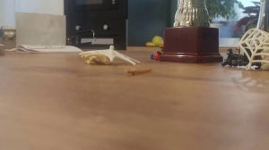 человек-паук 1 часть lego