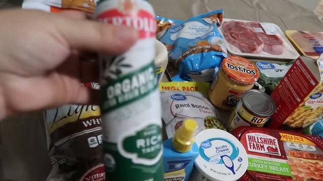 HyVee/Walmart Grocery Haul | WW Green Plan