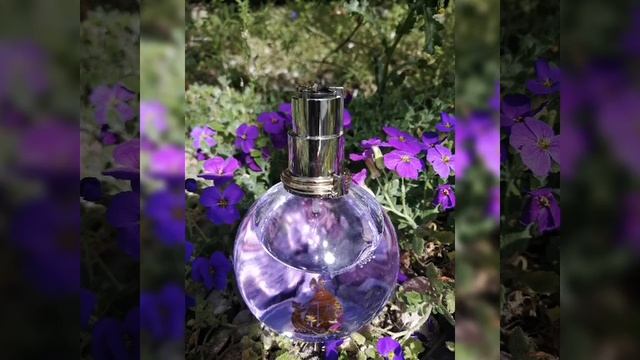 Аромат дня💕Эклат Ланван Дарпеж🌸