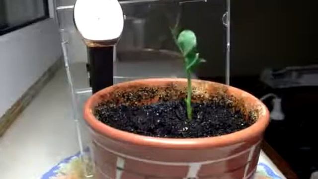 3 дня за минуту смотреть онлайн