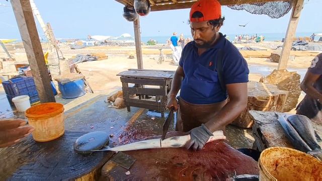 Long Gar Fish Slicing Skills | Long Hound Fish Slicing Skill | Mr.Sampath