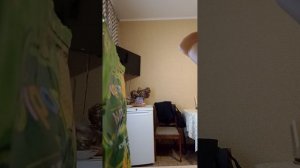 наше утро 2 часть выложу потом
