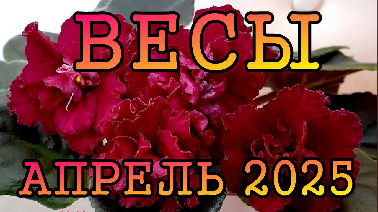 ВЕСЫ таро прогноз на АПРЕЛЬ 2025 года.