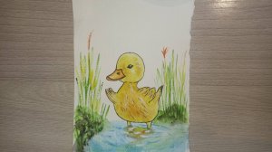 Рисунок акварелью / Утенок