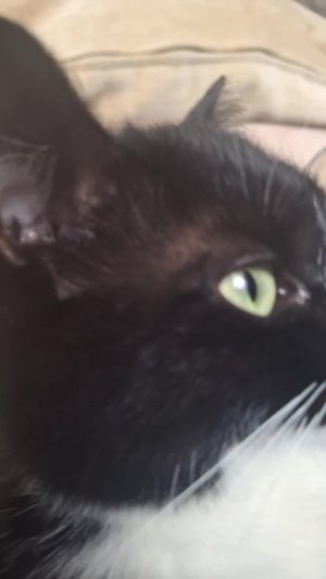 HITMAN