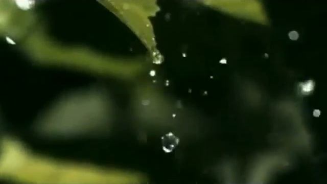 ОСЕННЯЯ смотреть онлайн