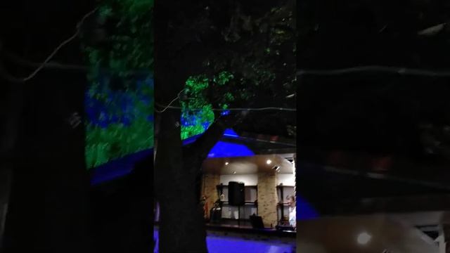 Весёлый вечер на набережной. Кафе Бамбино 31.07.20. #емшинаваля #кафе #море #отдых