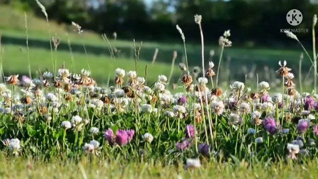 Asma-ul-Husna (99 Names of Allah) with Urdu And English Translations смотреть онлайн