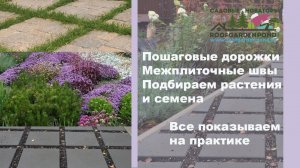 Пошаговые дорожки | Межплиточные швы | Садовые Новаторы