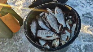 Последний лёд.Клев,как на Чёрных камнях. Морская Плотва подошла к берегу. На поплавок и мормышку.