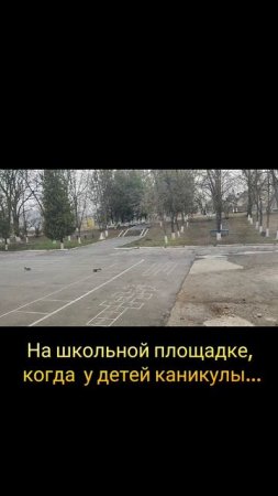 1000070957.mp4