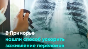 В Приморье нашли способ ускорить заживление переломов