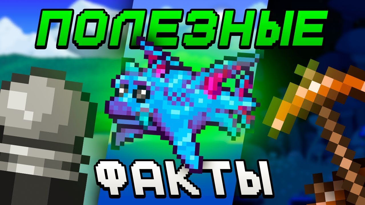 📹 Интересные и полезные факты в Террарии смотреть онлайн