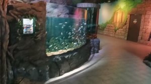 ПРИЕХАЛ В ОКЕАНАРИУМ (ВОРОНЕЖ, ВЛОГ 2023)