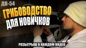 КАК Я СОЗДАЛ БИЗНЕС В ДОМЕ? | ТЫ ТОЖЕ ТАК СМОЖЕШЬ | ДВ 54