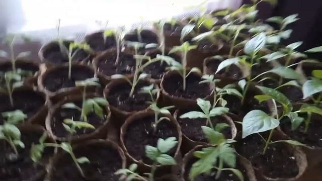ВЛОГ: Ужасная погода занимаюсь домашними делами