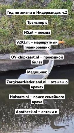 #гидпожизнивнидерландах  #gids #ov  #apotheek #nl