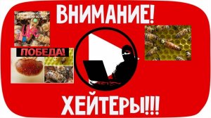 хейтеры привет! подсадка маток, повторная обработка от клеща