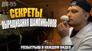 СЕМЕЙНЫЙ БИЗНЕС | ЧТО МОЖЕТ БЫТЬ ЛУЧШЕ? | ДВ 55
