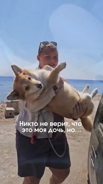 Никто не верит, но… #юмор #квадроберы #дайвинг #фридайвинг
