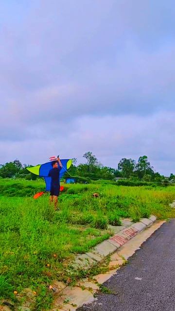 #kite #logo #kiteflying #fly #travel #sky смотреть онлайн