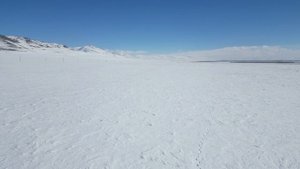 Обзор участка. Республика Алтай, Кош-Агачский район_2 (38,4 га)