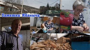 Жизнь в деревне: сажаем помидоры для рассады