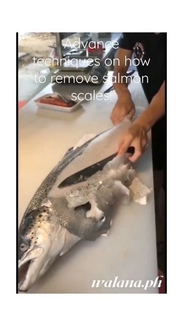 Advance techniques on how to remove salmon scales!!!