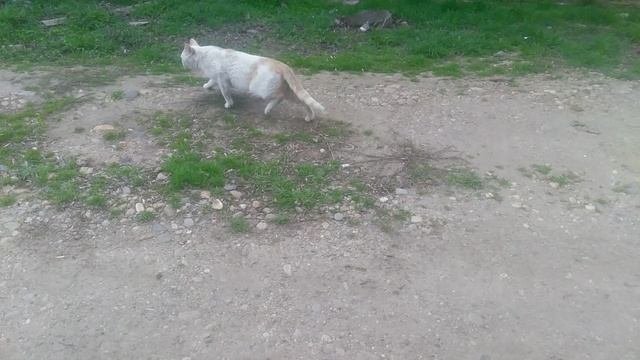 VID_20250323_132702