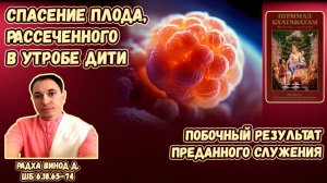 Спасение плода, рассеченного в утробе Дити. Побочный результат преданного служения. Радха Винод д.
