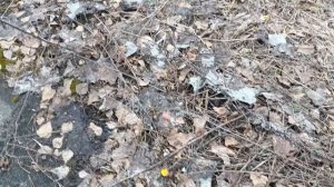 Новый выход на природу.